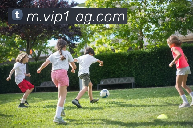 AG娱乐平台生态图