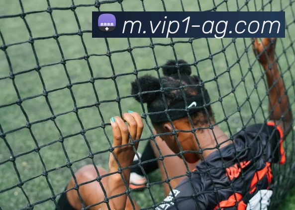 AG娱乐APP 封面图